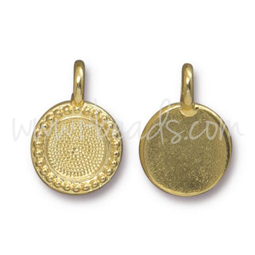 Rahmenfassung für Swarovski 2088 SS34 vergoldet (1)