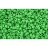 cc47 - Toho rocailles perlen 15/0 opaque mint green (5g)