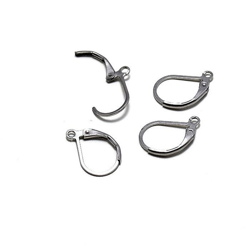 Kaufen Sie Perlen in Deutschland Stainless Steel Leverback Earring- steel color 15.5x10x1.5mm (4)
