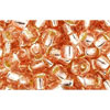 cc31 - Toho rocailles perlen 6/0 silver-lined rosaline (10g)