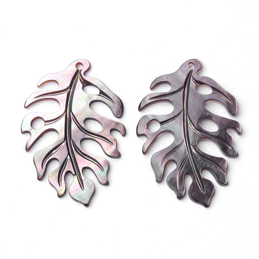 Kaufen Sie Perlen in Deutschland Schwarzer Perlmutt-Blatt Philodendron Monstera Anhänger 35x24mm (1)