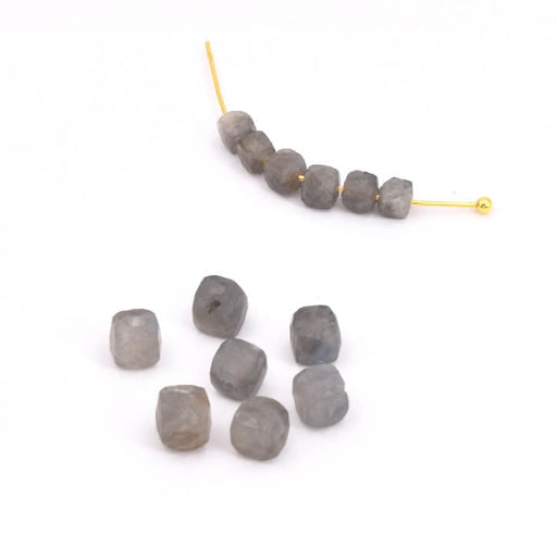 Kaufen Sie Perlen in Deutschland Facettierte Würfelperlen Labradorit 3,5 mm Loch: 0,6 mm (10)