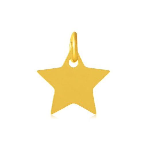 Kaufen Sie Perlen in Deutschland Anhänger mit Stern in Edelstahl vergoldet 12mm (1)